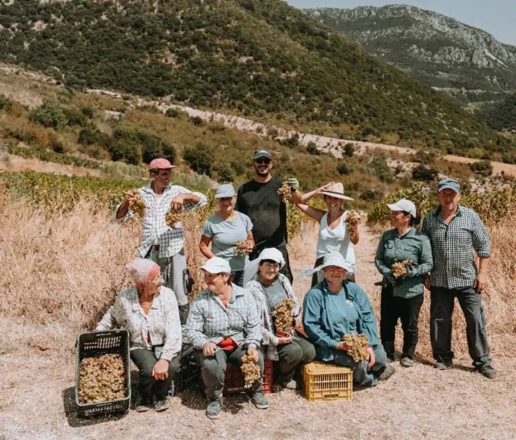 Eine Gruppe von Erntehelfern mit Kisten im Weinberg des Weinguts Markatselis.
