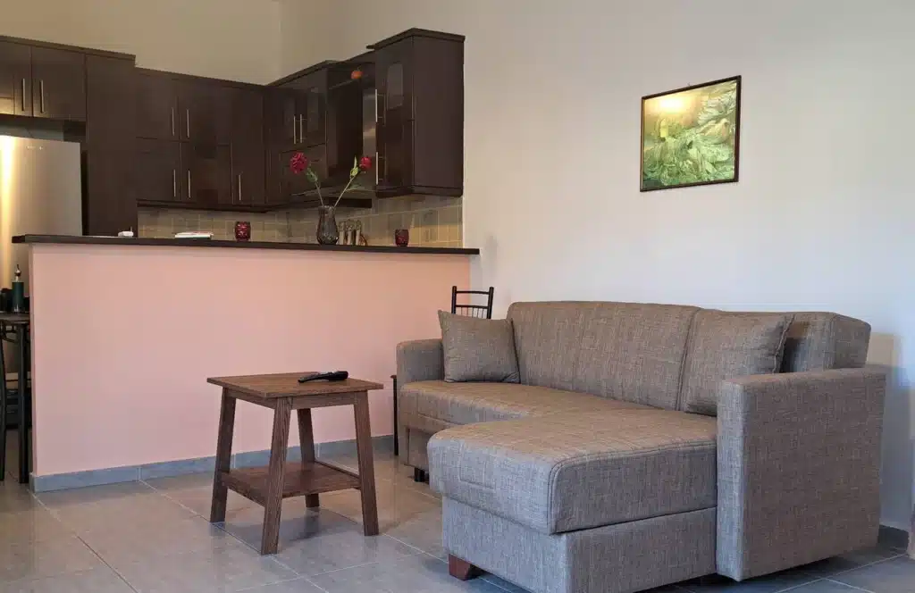 SAPFOUS APARTMENT IGOUMENITSA NEAR PORT LIVING ROOM