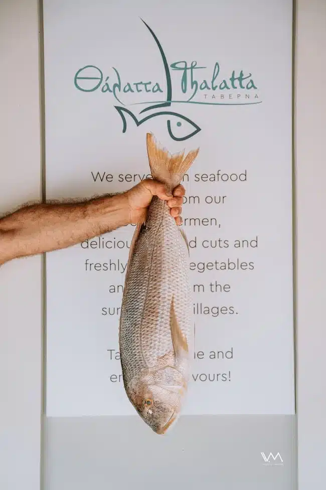 The chef at Thalatta Thalatta in Plataria holding the fresh fish of the day
