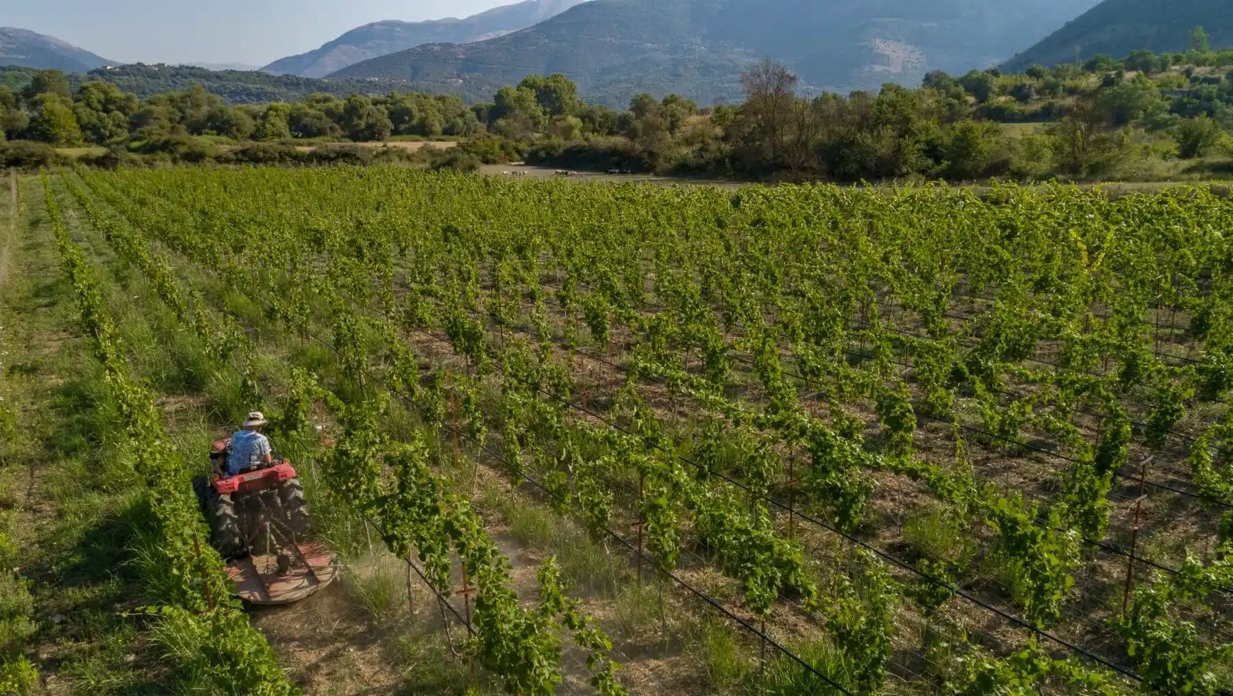 Zervas Winery